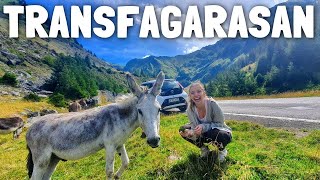 🇷🇴 THE MOST BEAUTIFUL ROAD IN THE WORLD (Transfagarasan Highway, Romania)