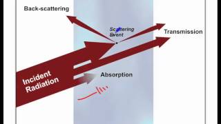 Light Interactions Descriptive