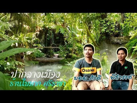 EP.4 | ร้านใบมาก ศรีราชา | เนื้อหาทั้งหมดที่เกี่ยวข้องกับร้านอาหาร ศรีราชาเพิ่งได้รับการอัปเดต