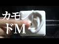 [ASMR] 耳珠をタッピング Tragus Tapping / SR3D (No Talking)