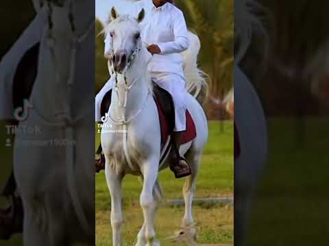 هدوء ماقبل العاصفه