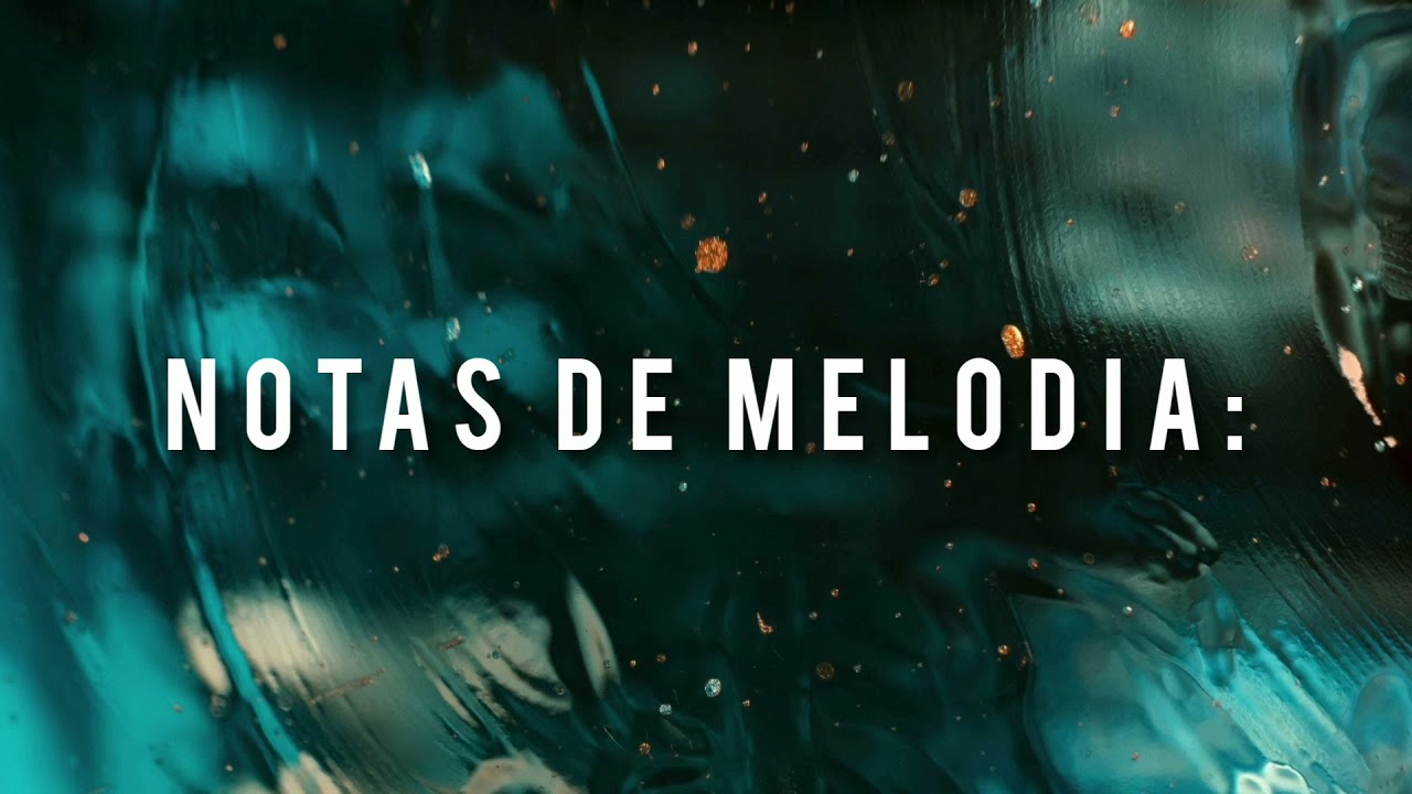 Ebenezer Honduras - Abrió El Mar ( Tutorial Trompeta) - YouTube