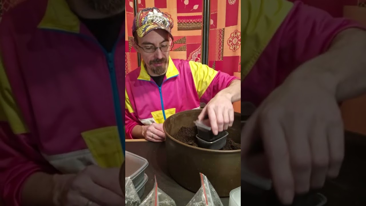 Livestream-Highlight: On the importance of good water management when growing cactus seedlings.