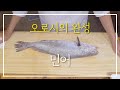 민어 오로시 과정을 자세히 모두 보여드립니다. ニベ(鮸). How to  croaker oroshi