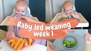 FIRST WEEK OF BABY LED WEANING | Starting solids at 6 months old