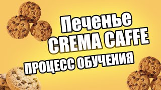 Как мы обучаем в пекарне Crema Caffe. Рецепты десертов!