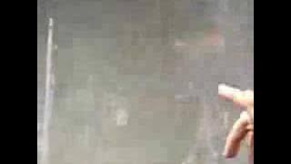 New Found Glory - Kiss Me (cover) [Warped 2007]