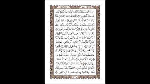 سورة النمل - أحمد عامر Surah An-Naml - Ahmed Amer