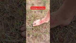 Kicking a CACTUS was a Massive Mistake... #funny #shorts #comedy