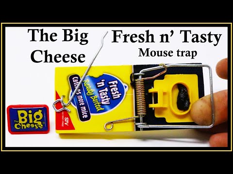 Any% in 27:26 by Shauny7188 - Mouse Trap Hotel - Speedrun