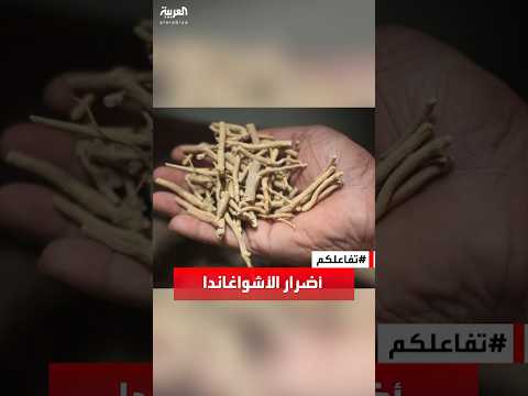 تفاعلكم أضرار الأشواغاندا سلبيات كثيرة يكشفها أستاذ في التغذية