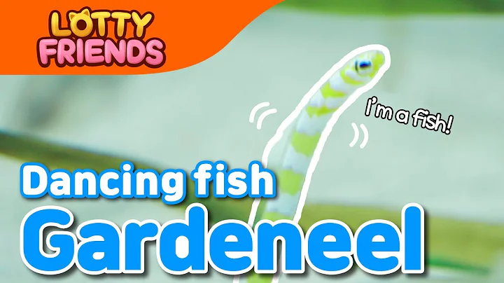 Garden eel | Kids Songs & Educational Songs | For Kids | Sea Animal Song | Lotty Friends