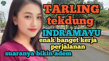 TARLING TEKDUNG INDRAMAYU_ENAK BANGET MENGHIBUR KERJA PERJALANAN ADEM @toyobringin3238
