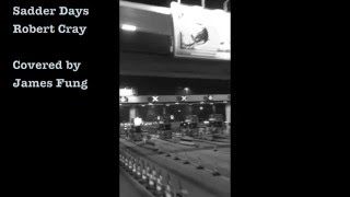 Video thumbnail of "Robert Cray - Sadder Days (Acoustic Version)"