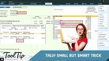 Tally Tool Tip | Tally Small But Smart Trick @LearnWell | स्मार्ट टैली - देखो सबकुछ