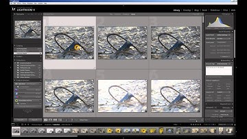 Using Lightroom to prepare a photograph for cyanotype contact printing.  Video 1 of 4 in a series.