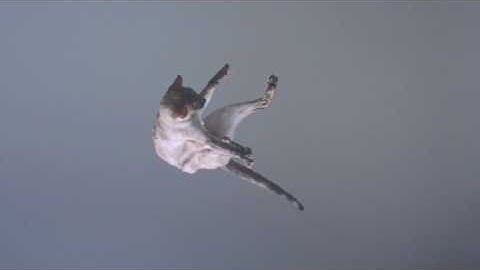 modular soundscapes with mutable instruments clouds and doepfer wasp filter.