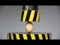 How Much Weight Can An Egg Support?