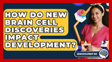 How Do New Brain Cell Discoveries Impact Development? - Brain Development Hub