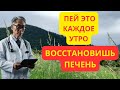 Очищение печени после 50: мягкие и безопасные методы Неумывакина #долголетие #здоровье