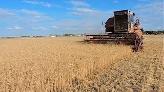 Конец Уборки Зерновых 2022🌾