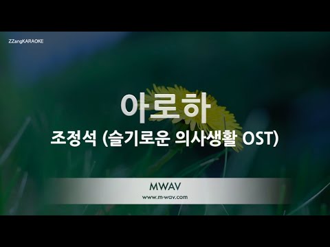 Jo Jung Suk (조정석) - ALOHA (아로하) (슬기로운 의사생활 OST) (Melody) (Karaoke Version)