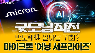 마이크론, 어닝 