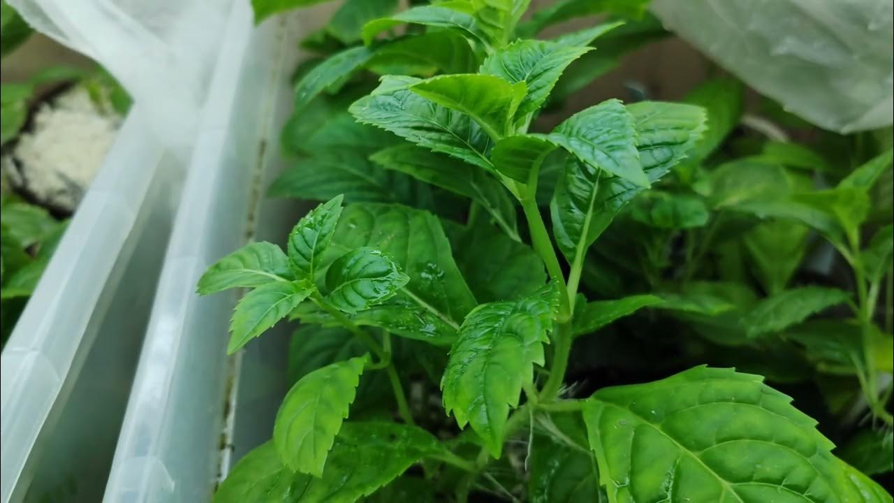 Детка забудь. Мемы про переезд. Переезд на работе шутки. Без проблем мем. Без проблем детка.