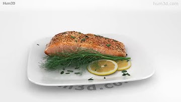 Cooked Salmon Fillet 3D model by 3DModels.org