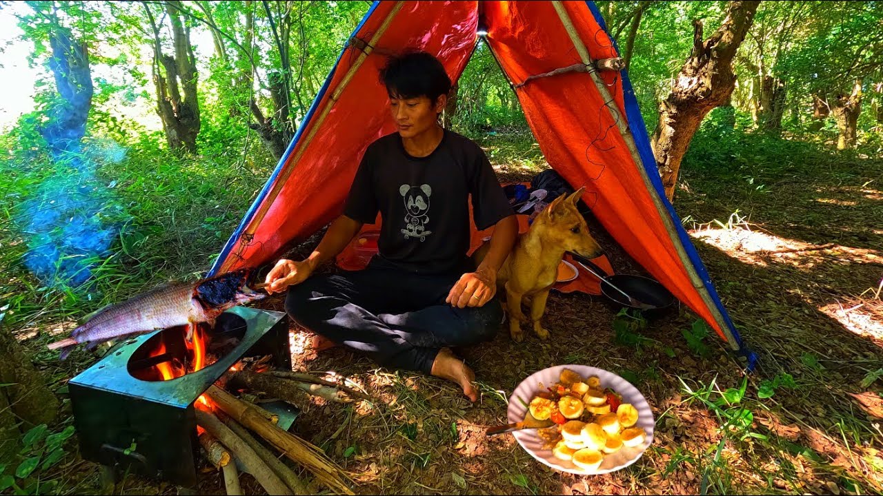Solo camping with my dog in the forest | Catch & cook outdoors - YouTube