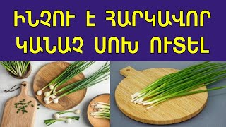 Ինչու Է Հարկավոր Կանաչ Սոխ Ուտել