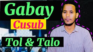 Gabay Cusub #Tol iyo #Talo by ​⁠Abwaan daauus