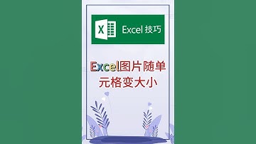 图片随单元格变大小。 #excel #办公软件 #办公技巧 #职场 #创作灵感