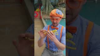 Sink or Float Challenge!! #blippi #science