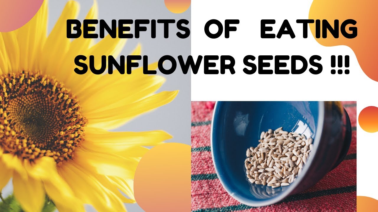 BENEFITS OF EATING SUNFLOWER SEEDS !! ( A healthy Snack) - YouTube