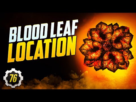 Video: La ce se folosește frunza de sânge în Fallout 4?