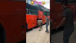 😂😂 AC बस #ambika_dj_novi #marwadi #rajasthani #comedy #marwadicomedy #meme #funny