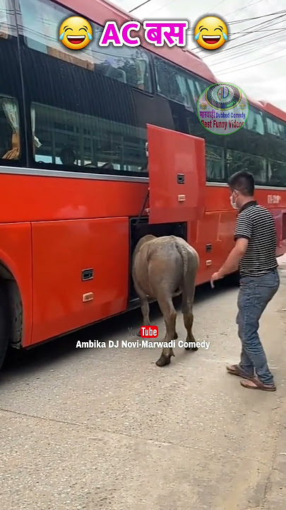 😂😂 AC बस                  #ambika_dj_novi #marwadi #rajasthani #comedy #marwadicomedy #meme #funny
