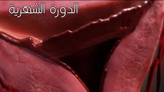 شاهد كيف تحدث الدورة الشهرية عند الفتاة