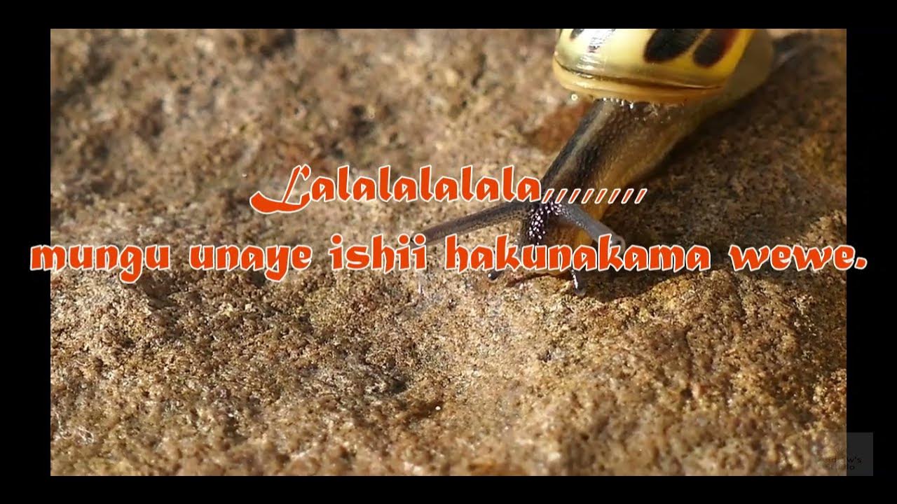 Ekwueme Swahili Prospa 0chimana feat Osinashi Nwachukwu - Cover by Gloire (lyric) Ekwueme Swahili Prospa 0chimana feat Osinashi Nwachukwu - Cover by Gloire (lyric)