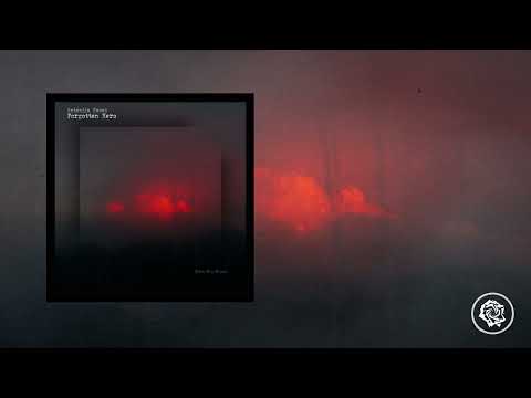 Forgotten Hero Antonija Pacek Modern Classical Piano 