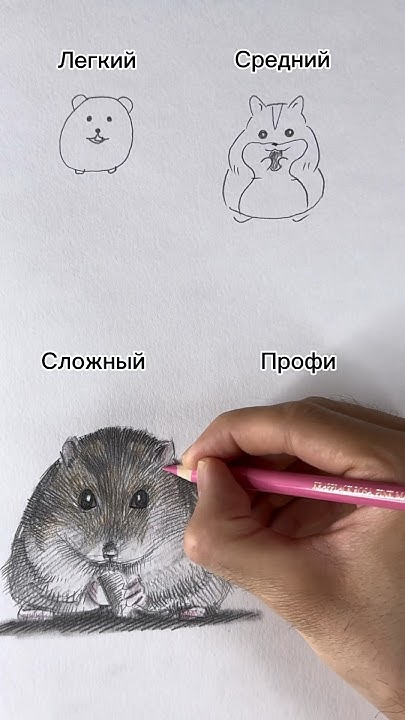 Рисуем хомяка #рисунок #хомяк #art - YouTube