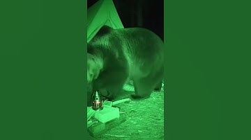 once in Russia #shorts #AITrends #NextGenAI #FutureTech #TechTrends #OpenAI #ChatGPT #GenAI #AI