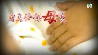 TVB 星期日檔案｜無名份的「母」愛 (繁／簡字幕)｜ 無綫新聞 TVB News