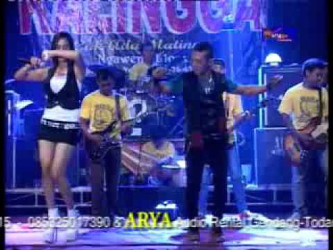 Ojo Salah Tompo New Kalingga Live Sambiroto 2016 Youtube