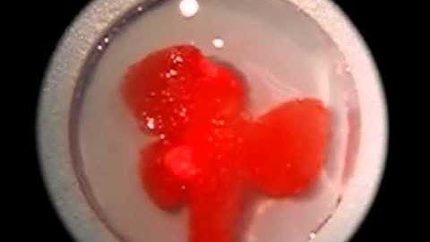 Shape Memory Recovery of Covalently Crosslinked Porous Alginate Scaffolds