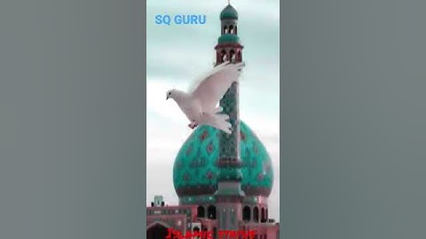 11Vi Sharif WhatsApp Status | Gaus Pak Status 2022 | Gause Azam status | Gyarvi Sharif Status