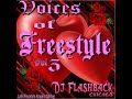 Dj Flashback Chicago, Voices of freestyle V3 (Acapella Edition)