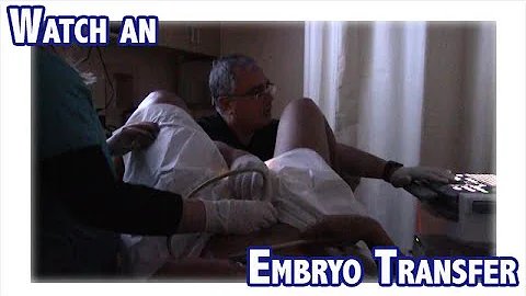 Watch An Embryo Transfer!