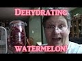 Dehydrating Watermelon!